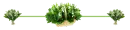 Divider