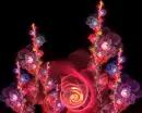 WALLPAPER