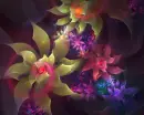 WALLPAPER