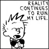 calvin and hobbes