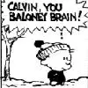 calvin and hobbes