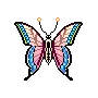 cute butterfly