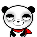 Panda yawn