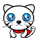 Panda Kitty