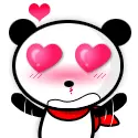 Panda in Love