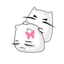 2 White Kitty s