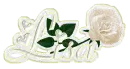 WHITE ROSE LISA