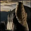 lord of the rings