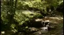 Fairytale Creek