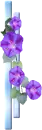 Column