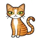 Kitten
