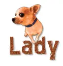 Lady 