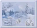 Winter Wonderland