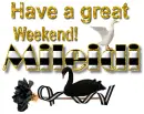 Great Weekend in Black & White - Mileidi