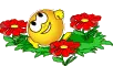 smilie