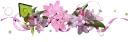 Pink Flowers
