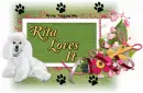 Rita Loves It