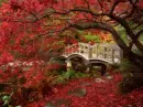 Fall bridge