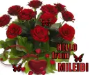 Glitter Text-Hello
