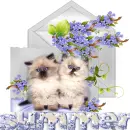 Glitter graphics