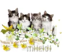 Glitter graphics