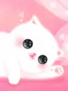 Kitty