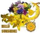 Glitter Text-Hello Sunshine!