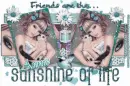 Friends Are The Sunshine Of Life - Annie