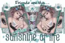 Friends Are The Sunshine Of Life - Fran