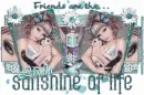 Friends Are The Sunshine Of Life - Linda