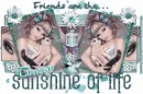 Friends Are The Sunshine Of Life - Tracey