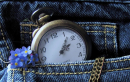 Pocket watch