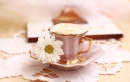Cup of Daisy