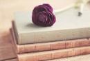 Rose Book