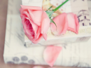 Soft and Dreamy