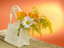 Shopping Bag