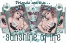 Friends Are The Sunshine Of Life - Carol