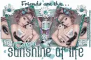 Friends Are The Sunshine Of Life - Tonya