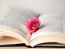 Rose in a Book