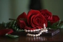 Rose and Chocolates