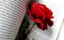 Book Marker