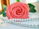A Touch of Elegance