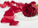 Roses with Pearl