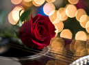 Strumming Bokeh