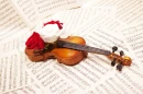 Roses and Violin
