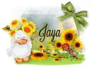 Jaya