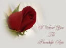 Friendship Rose