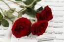 Red rose and musical notes