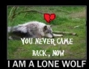 now I'm a lone wolf