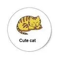 Cute cat, cat